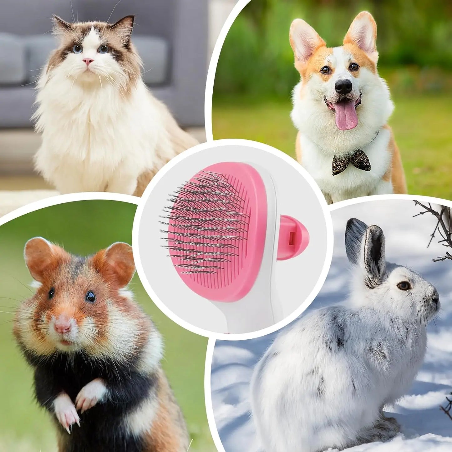 2 Pcs Brush Hair Comb