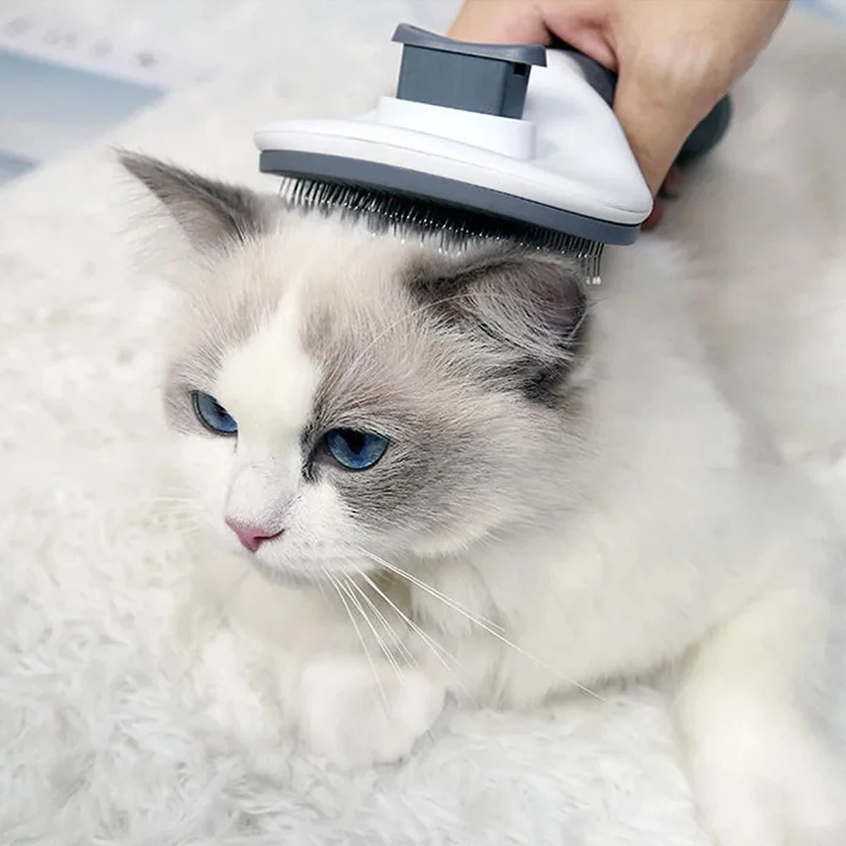 One-click hair removal pet comb