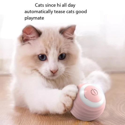 Cat Interactive Ball Smart Cat Toy Indoor Automatic Rolling Ball